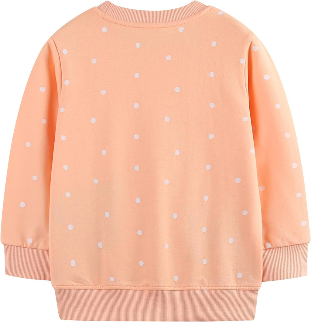 Toddler Boys Girls Sweatshirt Crewneck Pullover Long Sleeve Tops Blouse Cotton T-Shirt Fall Winter Clothes 2-6Y