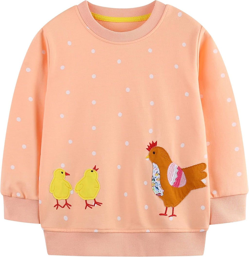 Toddler Boys Girls Sweatshirt Crewneck Pullover Long Sleeve Tops Blouse Cotton T-Shirt Fall Winter Clothes 2-6Y